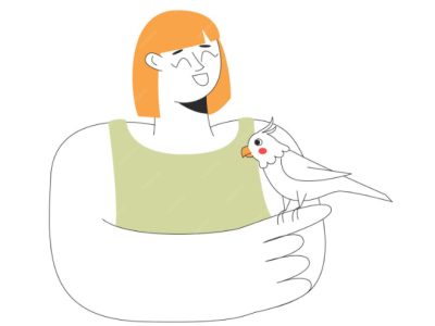 Line Art Outline
